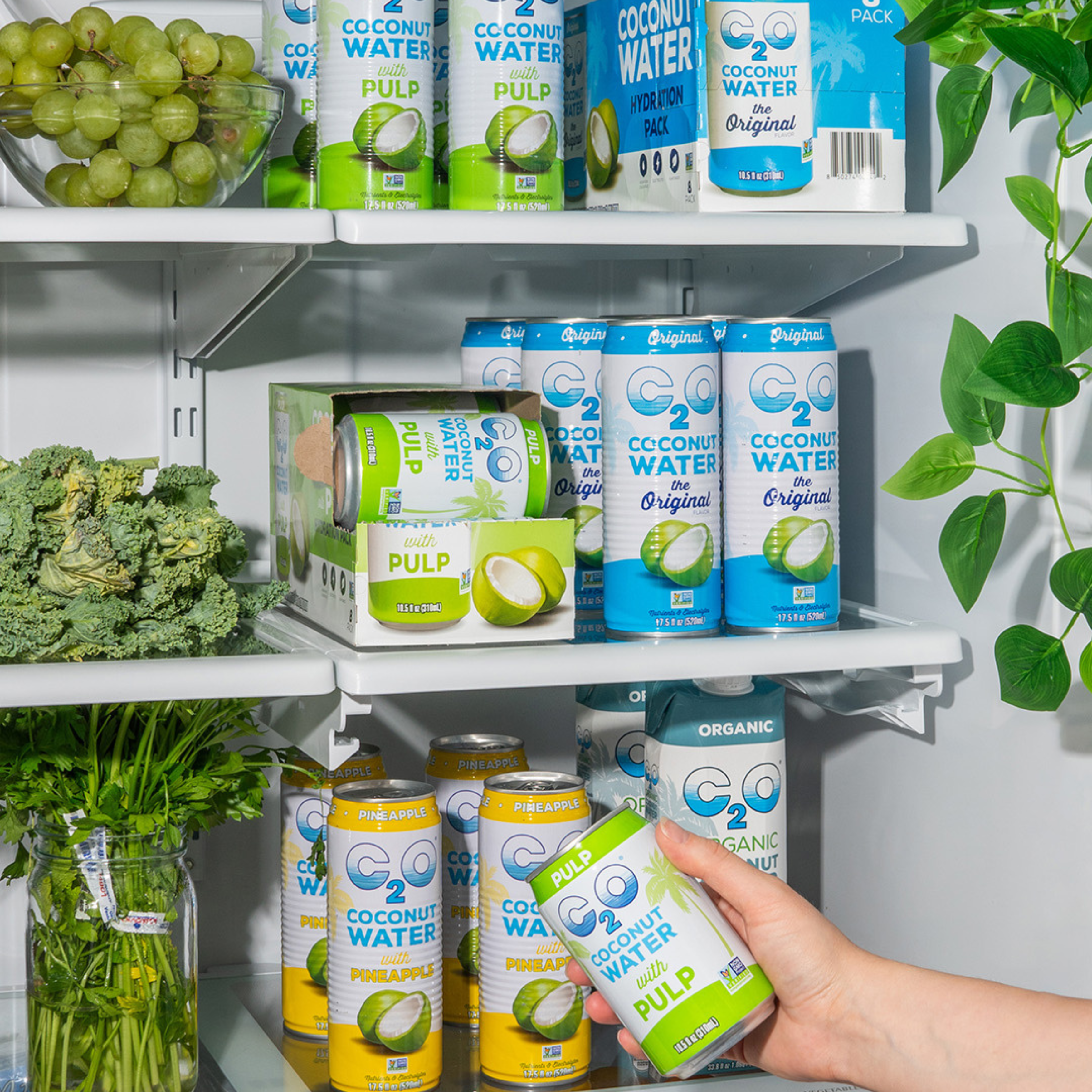 Coconut Water with Pulp - 17.5 fl oz. (12-Pack)