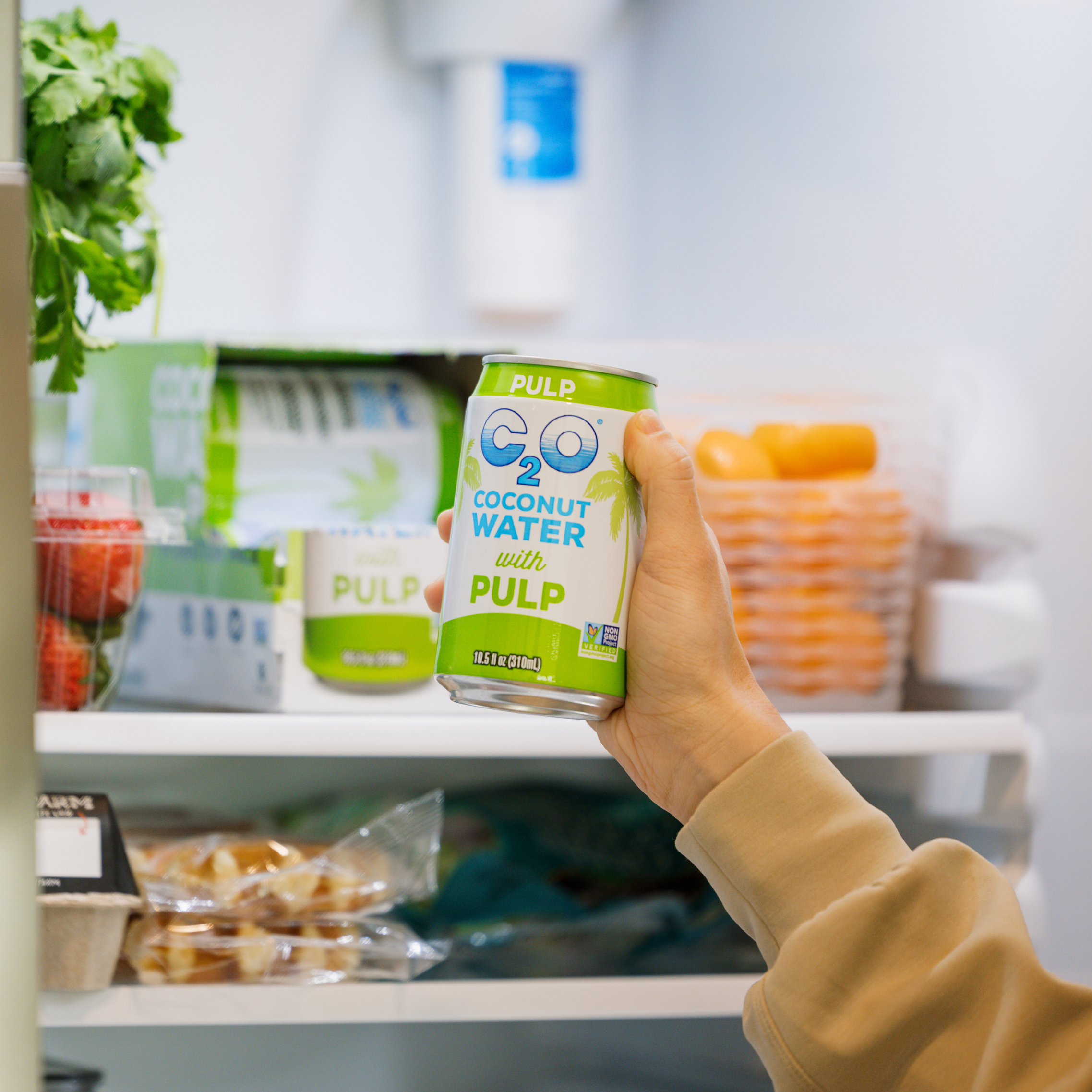 Coconut Water with Pulp - 10.5 fl. oz. (3 Packs of 8)