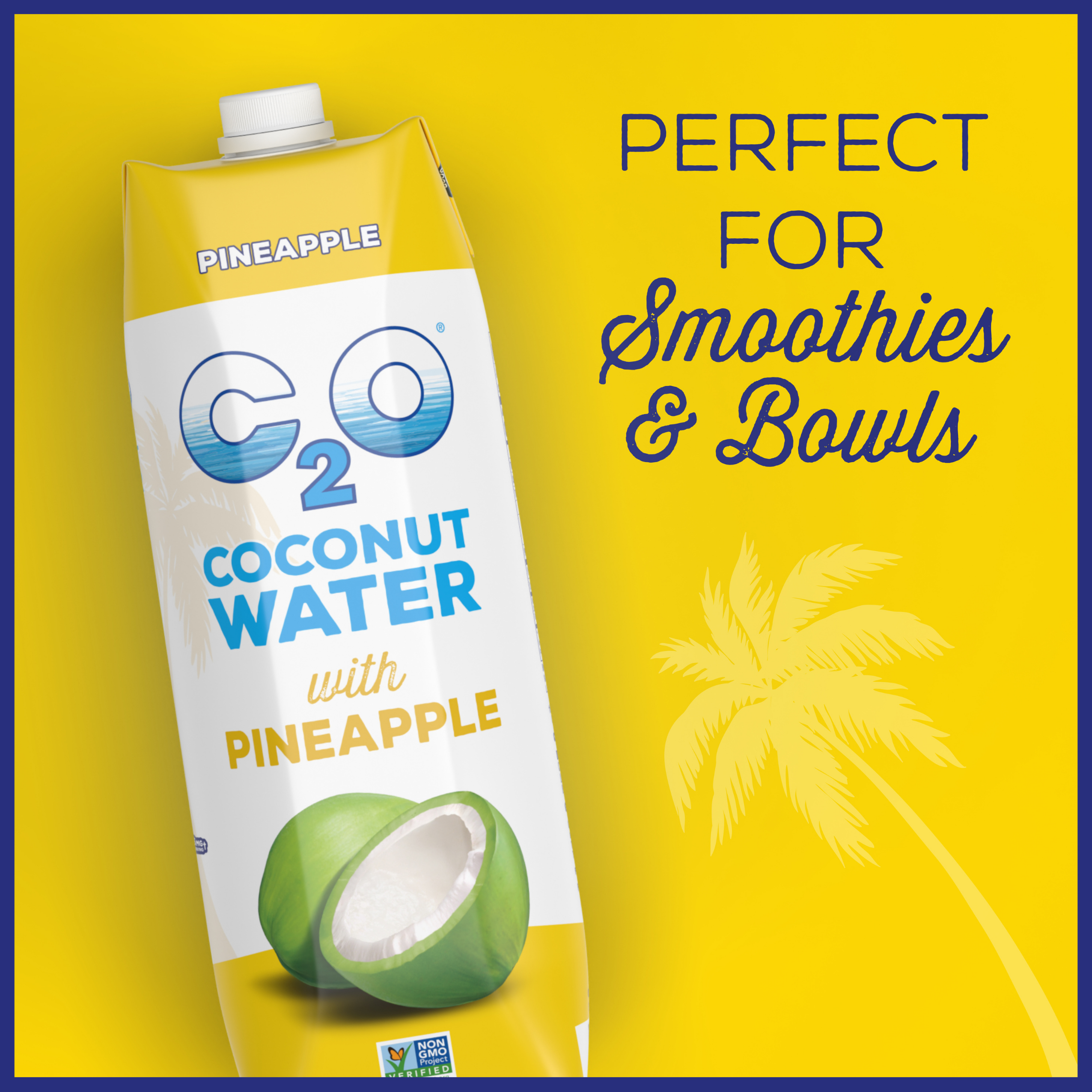 Coconut Water "Pineapple" 33.8 fl oz. (6-Pack)