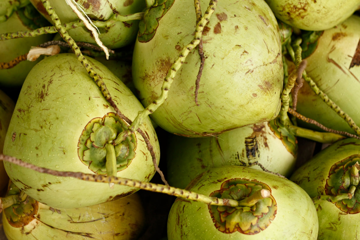 COCONUTS TO THE RESCUE.